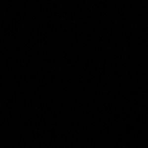 Meet your Posher, Sehamseham